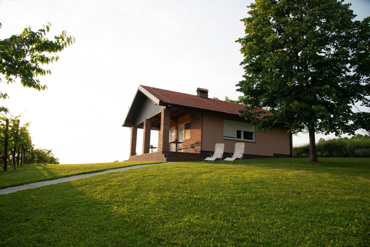 Guest House Blazevic Gornja Gracenica Exterior photo
